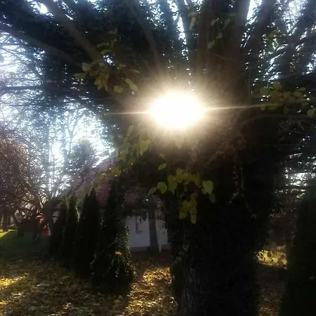 Vendeghaz דירה Kiskassa