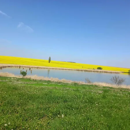 Vendeghaz דירה