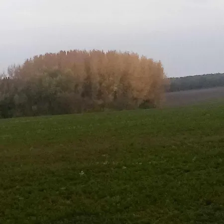 Vendeghaz דירה Kiskassa