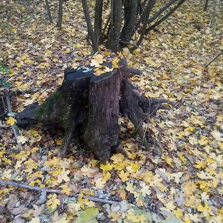 Vendeghaz Kiskassa